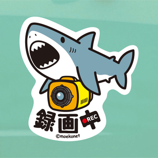 ホホジロザメ*サメ【録画中ステッカー】ドライブレコーダー/防犯カメラ共通(車外アクセサリ)
