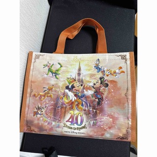 ディズニー(Disney)のディズニー 40周年  お菓子バッグ (キャラクターグッズ)