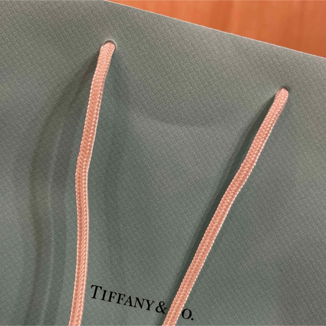 Tiffany & Co.(ティファニー)のTIFFANY ショップ袋 ショッパー 5枚 ティファニー レディースのバッグ(ショップ袋)の商品写真