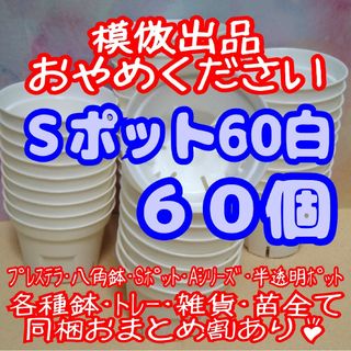 《Sポット60》白 60個 スリット鉢 プラ鉢 2号鉢相当 多肉植物 プレステラ(プランター)