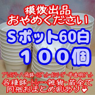 《Sポット60》白100個 スリット鉢 プラ鉢 2号鉢相当 多肉植物 プレステラ(プランター)