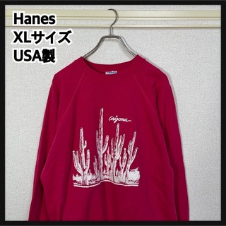 ヘインズ(Hanes)のヘインズ】90sUSA製スウェット　アリゾナ　サボテン　ビンテージ　赤ピンクF8(スウェット)