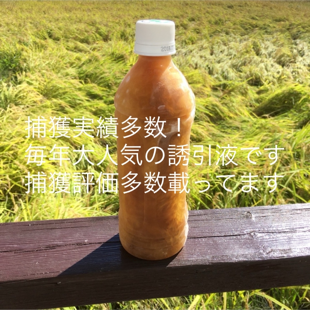 日本蜜蜂誘引液　ミツバチ　ルアー　分蜂 養蜂 蜜蝋 誘引剤 キンリョウヘン待ち箱 その他のペット用品(虫類)の商品写真