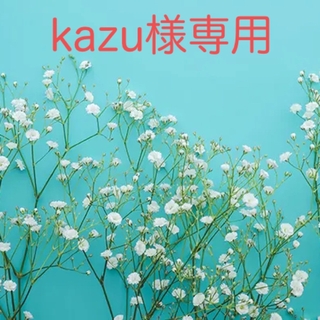 kazu様専用(アイドルグッズ)