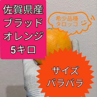 ブラッドオレンジ5キロ(フルーツ)