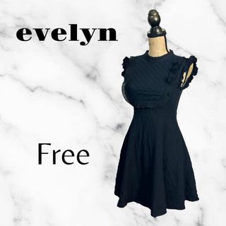 エブリン(evelyn)の美品✨【evelyn】メイド服風フレアワンピース　フリル　ゴスロリ　ブラック　F(ひざ丈ワンピース)