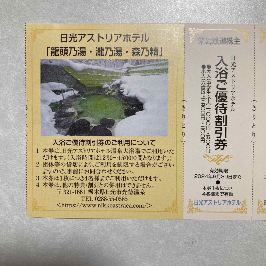 日光アストリアホテル　入浴割引券 チケットの施設利用券(遊園地/テーマパーク)の商品写真