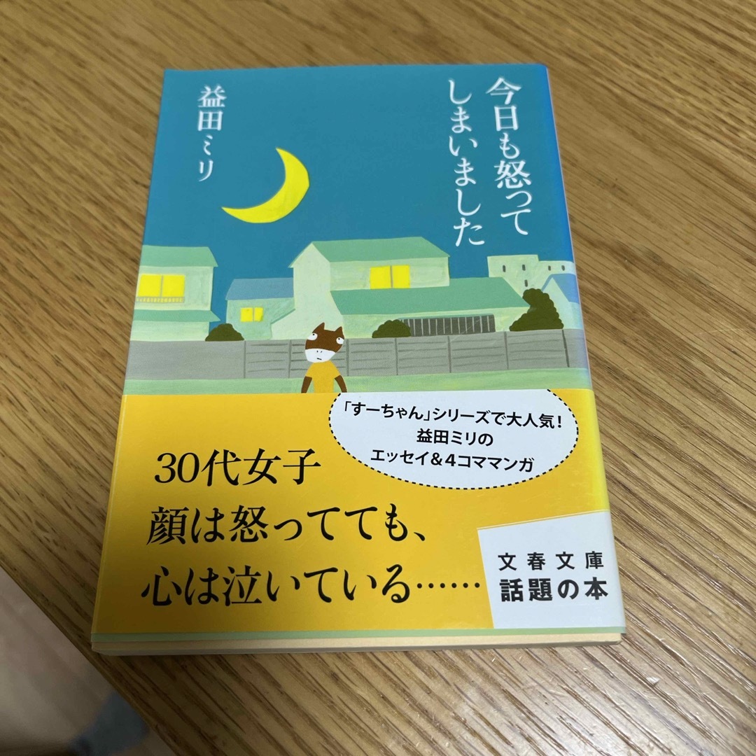 今日も怒ってしまいました エンタメ/ホビーの本(文学/小説)の商品写真