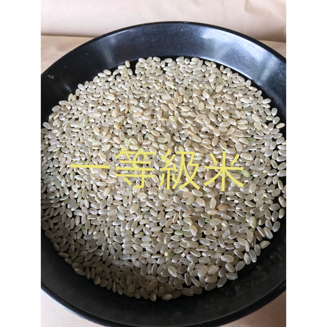 無農薬　純こしひかり30㎏ 玄米 食品/飲料/酒の食品(米/穀物)の商品写真