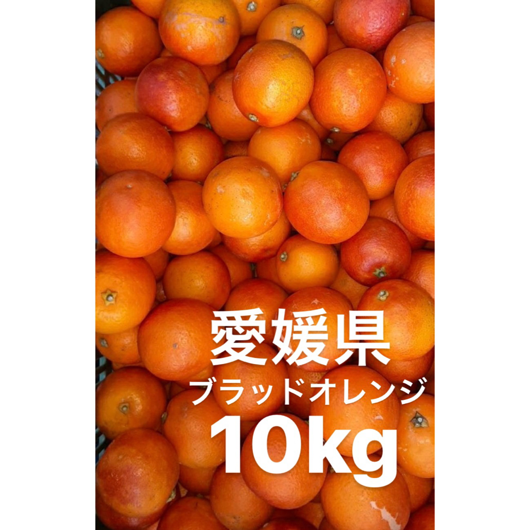 愛媛県産　ブラッドオレンジ　モロ　柑橘　10kg 食品/飲料/酒の食品(フルーツ)の商品写真