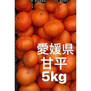 小蜜5キロ　秀品と家庭用ミックス　衝撃の高糖度　あまい　超濃厚みかん　愛媛県産超濃厚小玉秀品と家庭用ミックス