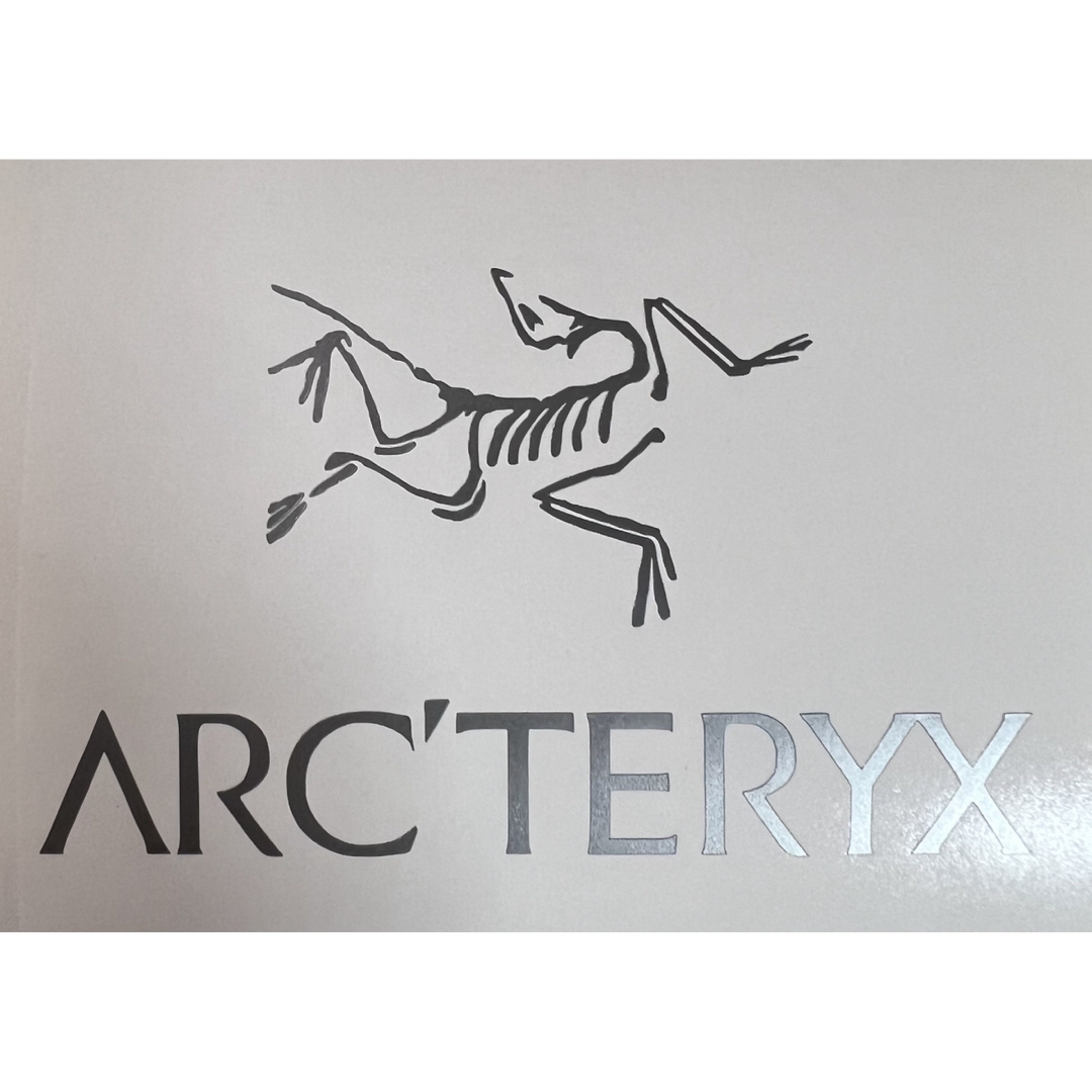 ARC'TERYX(アークテリクス)のARC'TERYX (アークテリクス)シルバーステッカー スポーツ/アウトドアのアウトドア(その他)の商品写真