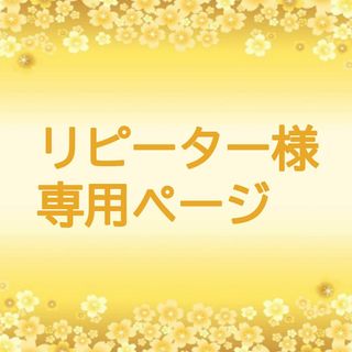 不動明王お守り＋浄化の雨＋身代わり(その他)