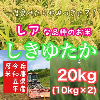 リピ買い 農家のレア品種米 令和5年 兵庫県産シキユタカ 20kg(10kg×2(米/穀物)