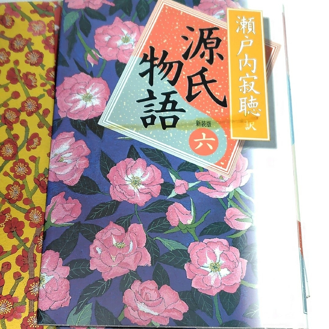 想像を超えての 源氏物語 瀬戸内寂聴 全巻 セット 愛蔵版 新装版 特装 想像を超えての 源氏物語 瀬戸内寂聴 全巻 セット 愛蔵版 新装版 特装
