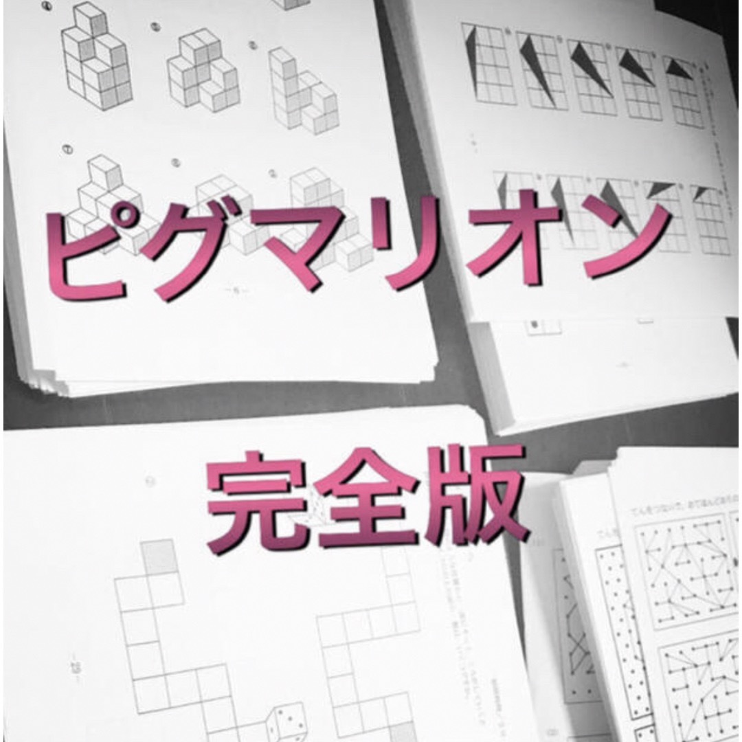 ピグマリオン赤ちゃんから中学受験までのプリント+DVDセット①