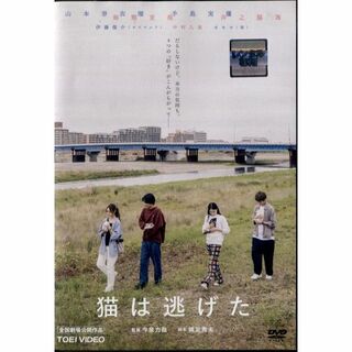 rd06972　　猫は逃げた　〈主演：山本奈衣瑠、手島実優、毎熊克哉、井之脇海〉　　中古DVD(日本映画)