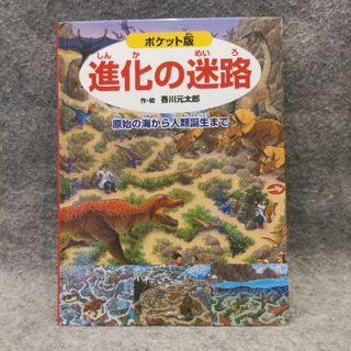 ポケット版 進化の迷路