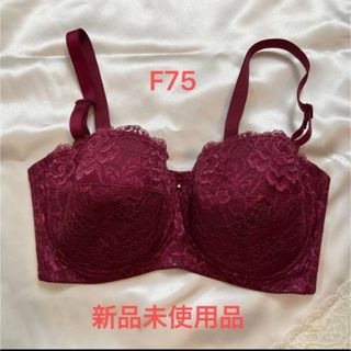 シャンデール ブラジャー　ソレイユ　F75(ブラ)