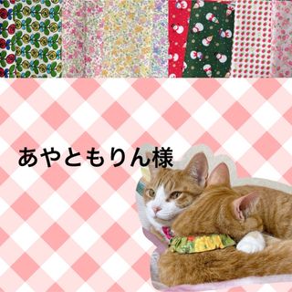 専用 シュシュ首輪×3(リード/首輪)