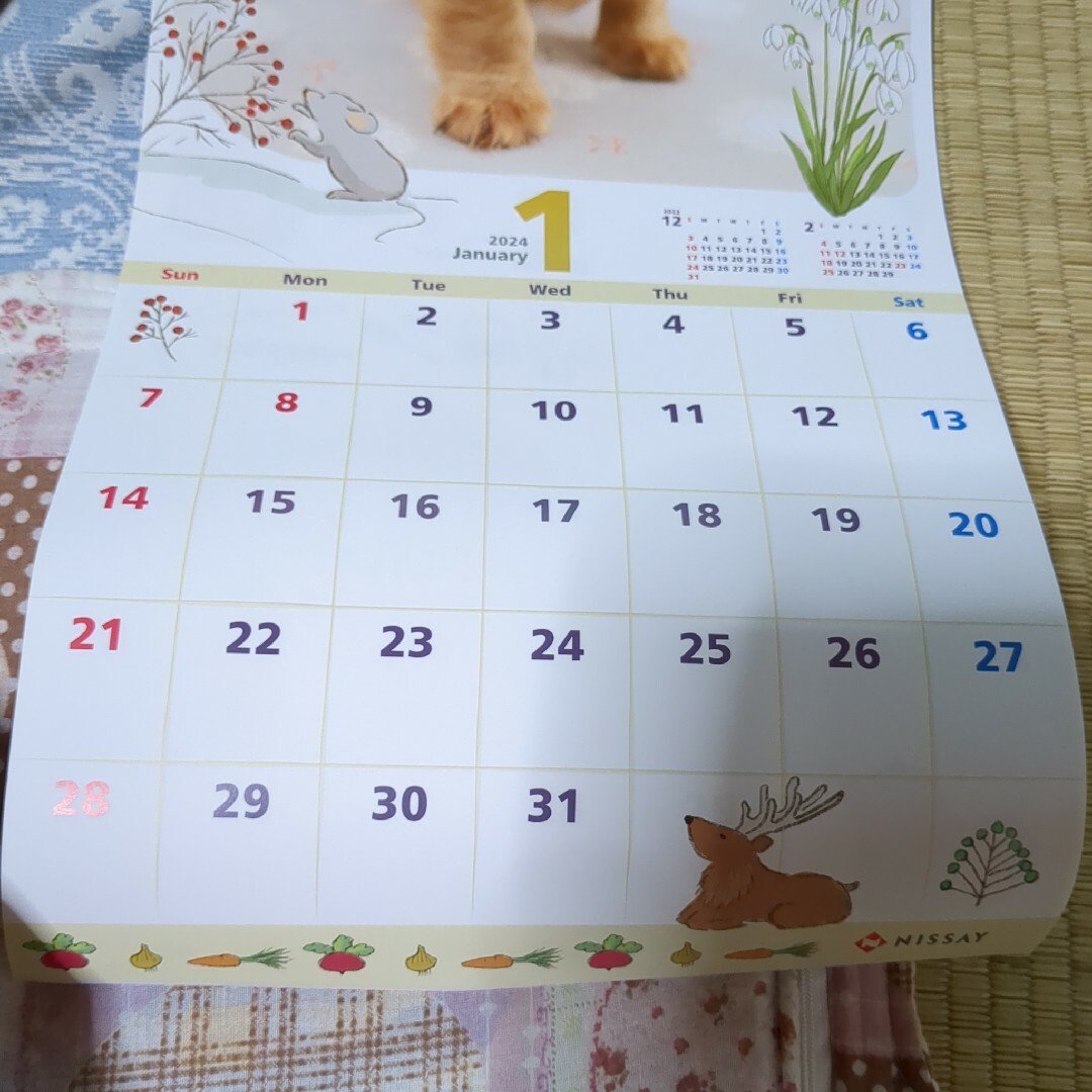 2024年Calendar　ワンニャンLIFEイラストももち　新品未使用 インテリア/住まい/日用品の文房具(カレンダー/スケジュール)の商品写真