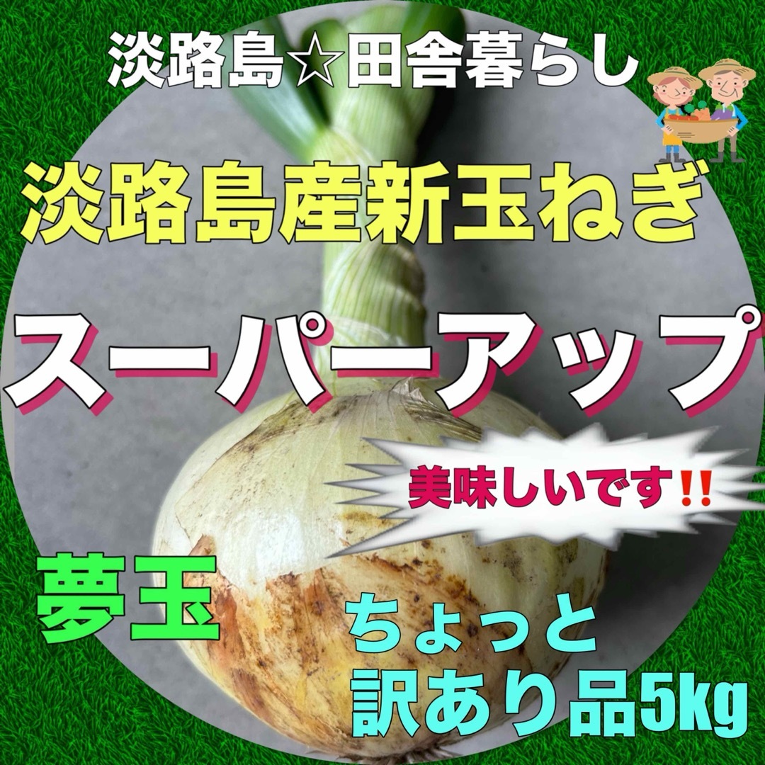 淡路島産新玉ねぎ 茎付き ちょっと訳あり品5kg スーパーアップ 極早生 夢玉 食品/飲料/酒の食品(野菜)の商品写真