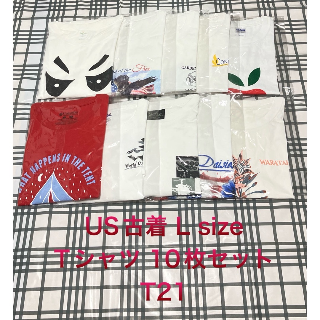 Columbia(コロンビア)の【レア】US古着L size Tシャツ 10枚セット まとめ売り 超特価！ メンズのトップス(Tシャツ/カットソー(半袖/袖なし))の商品写真