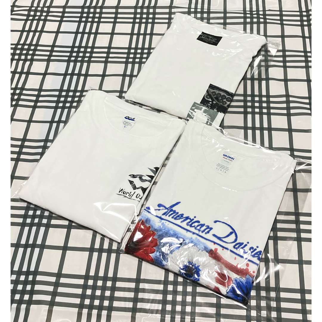 Columbia(コロンビア)の【レア】US古着L size Tシャツ 10枚セット まとめ売り 超特価！ メンズのトップス(Tシャツ/カットソー(半袖/袖なし))の商品写真