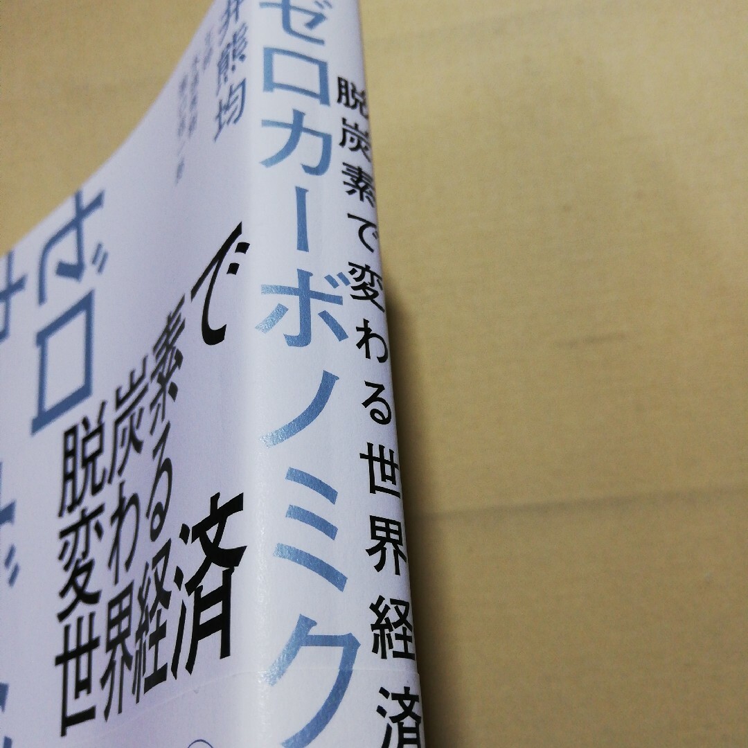 脱炭素で変わる世界経済ゼロカーボノミクス エンタメ/ホビーの本(ビジネス/経済)の商品写真