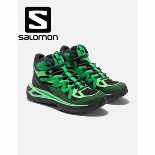 サロモン(SALOMON)のSALOMON ADVANCED オデッセイ ELMT MID GTX(スニーカー)