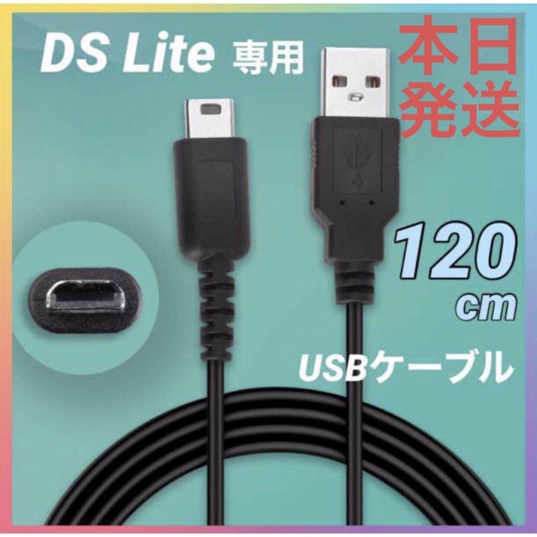 ニンテンドーDS(ニンテンドーDS)の新品DSライト 充電器 USB ケーブル DSL DS Lite NDS 未使用 エンタメ/ホビーのゲームソフト/ゲーム機本体(携帯用ゲーム機本体)の商品写真