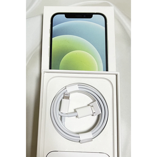 アイフォーン(iPhone)のApple純正　iPhone ライトニングケーブル　タイプC(バッテリー/充電器)