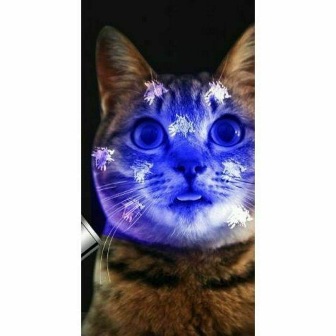 LED ポインター 猫じゃらし USB充電式 猫 ペット 用品　おもちゃ　玩具 その他のペット用品(猫)の商品写真
