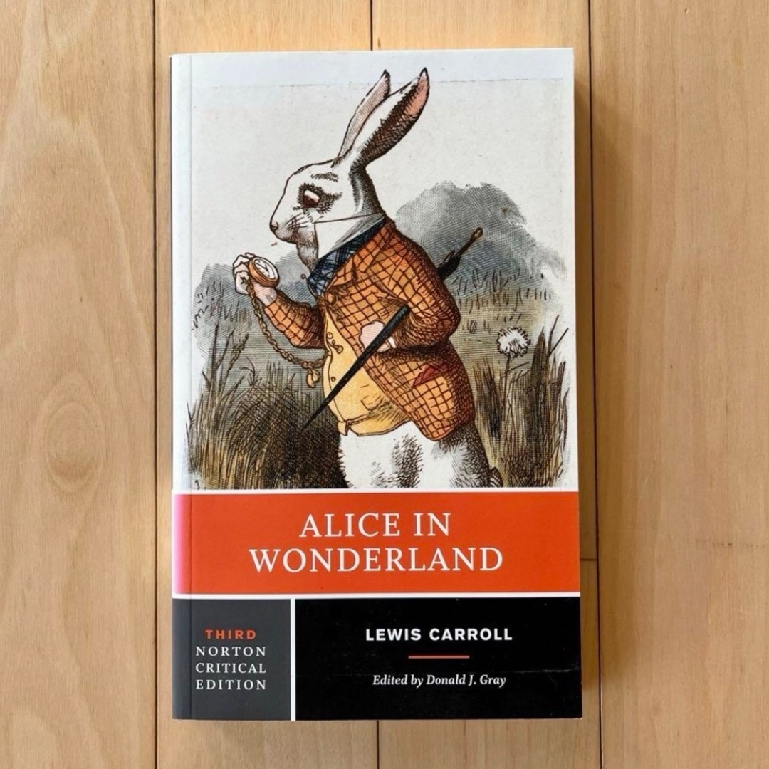 Alice in Wonderland ペーパーバッグ エンタメ/ホビーの本(洋書)の商品写真