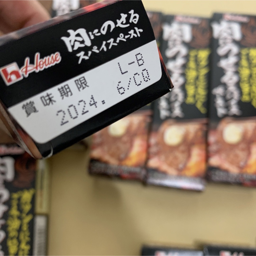 ハウス食品(ハウスショクヒン)の肉にのせるスパイスペースト　ガツンとニンニク　ハウス　チューブ　10本 食品/飲料/酒の食品(その他)の商品写真