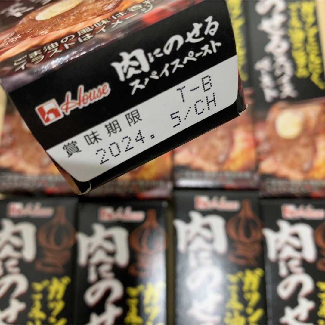 ハウス食品(ハウスショクヒン)の肉にのせるスパイスペースト　ガツンとニンニク　ハウス　チューブ　10本 食品/飲料/酒の食品(その他)の商品写真