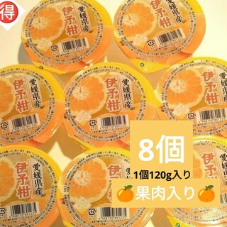お得🉐JAえひめ中央  愛媛県産  果肉入り伊予柑ゼリー  8個詰め合わせ(菓子/デザート)