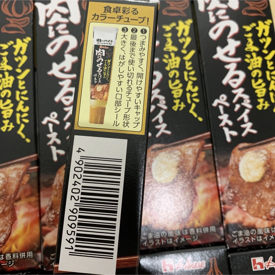 ハウス食品(ハウスショクヒン)の肉にのせるスパイスペースト　ガツンとニンニク　ハウス　チューブ　100本 食品/飲料/酒の食品(調味料)の商品写真