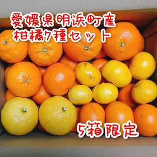 家庭用傷10kg サイズ混合