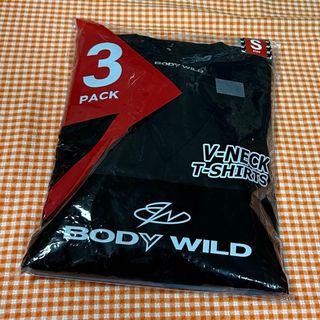 グンゼ(GUNZE)のゆんたく様専用GUNZE BODY WILD VネックTシャツ 3枚セット(Tシャツ/カットソー(半袖/袖なし))