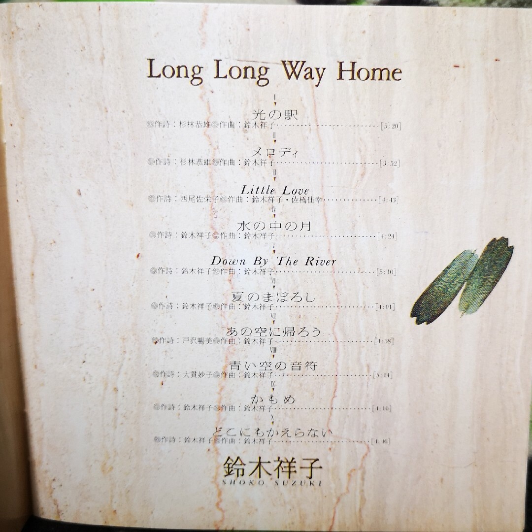 Long　Long　Way　Home 鈴木祥子 エンタメ/ホビーのCD(ポップス/ロック(邦楽))の商品写真