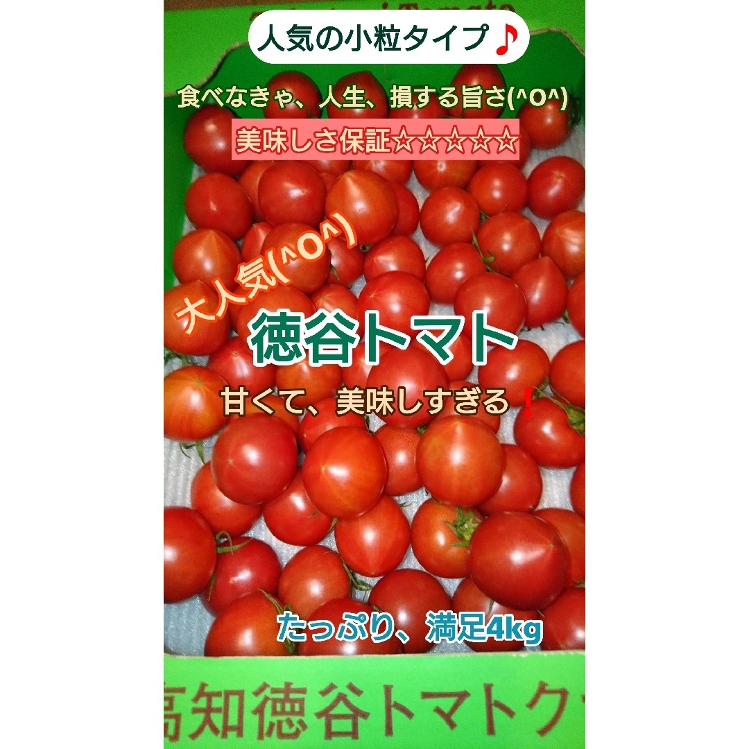 高知県 徳谷トマト フルーツトマト　送料無料 4k 食品/飲料/酒の食品(野菜)の商品写真