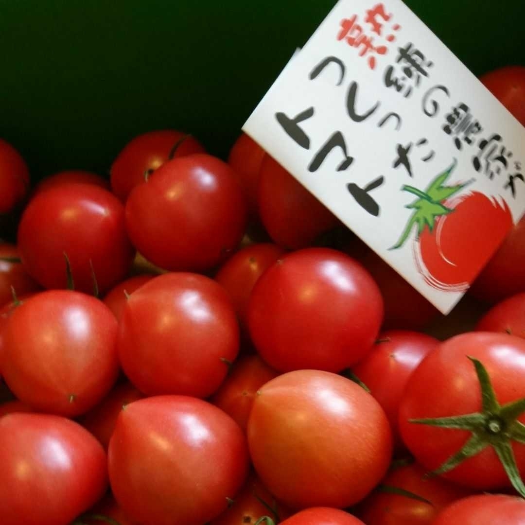 高知県 徳谷トマト フルーツトマト　送料無料 4k 食品/飲料/酒の食品(野菜)の商品写真