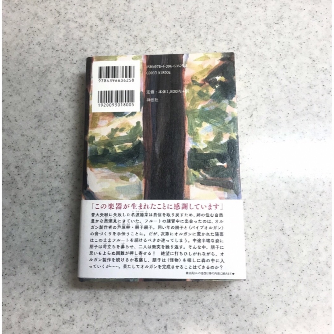 「風を彩る怪物」 エンタメ/ホビーの本(文学/小説)の商品写真