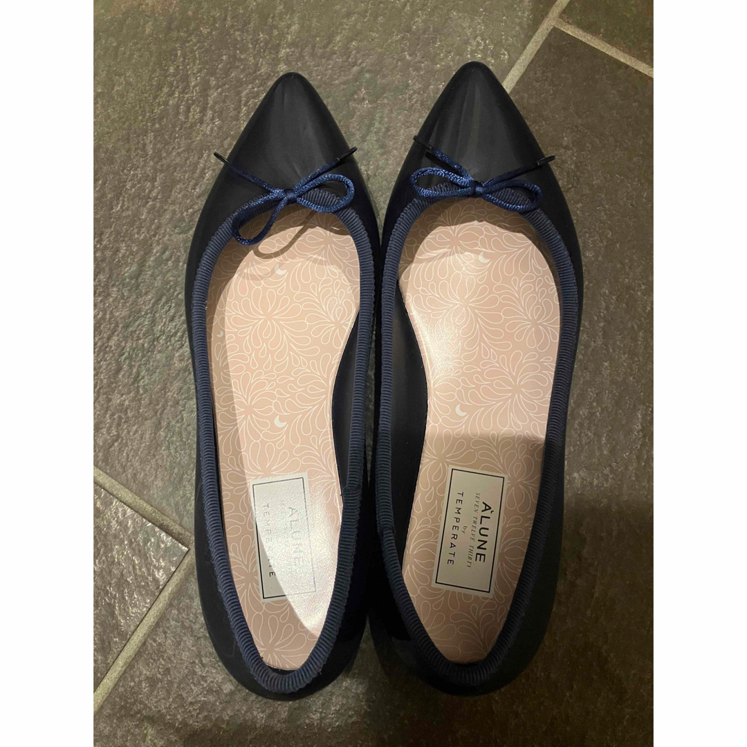 repetto(レペット)の美品　テンパレイト　TEMPERATE  ネイビー　ポインテッド　39 レディースの靴/シューズ(バレエシューズ)の商品写真