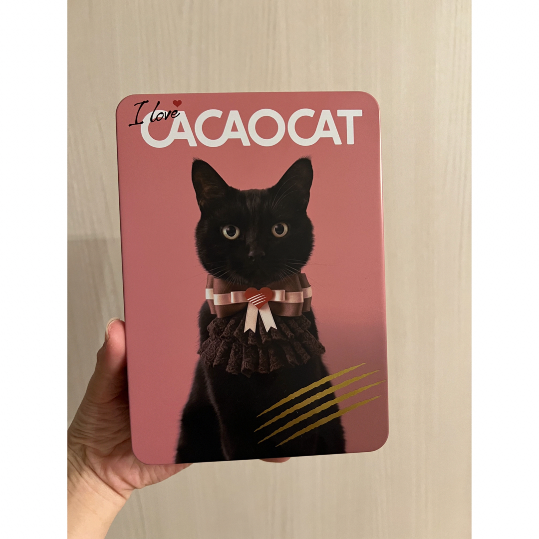 DADACA CACAOCAT缶 ミックス 14個 インテリア/住まい/日用品のインテリア小物(小物入れ)の商品写真