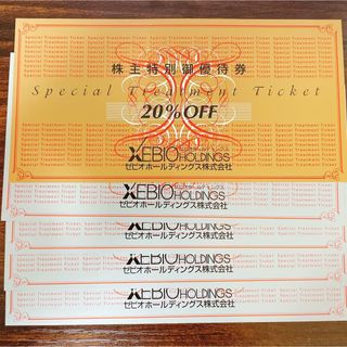 ゼビオホールディングス　株主優待券　20％OFF 10%OFF(ショッピング)