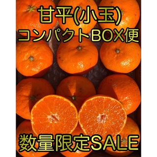 愛媛県産ミカン  家庭用 甘平 コンパクトBOX発送 柑橘 みかん 果物(フルーツ)