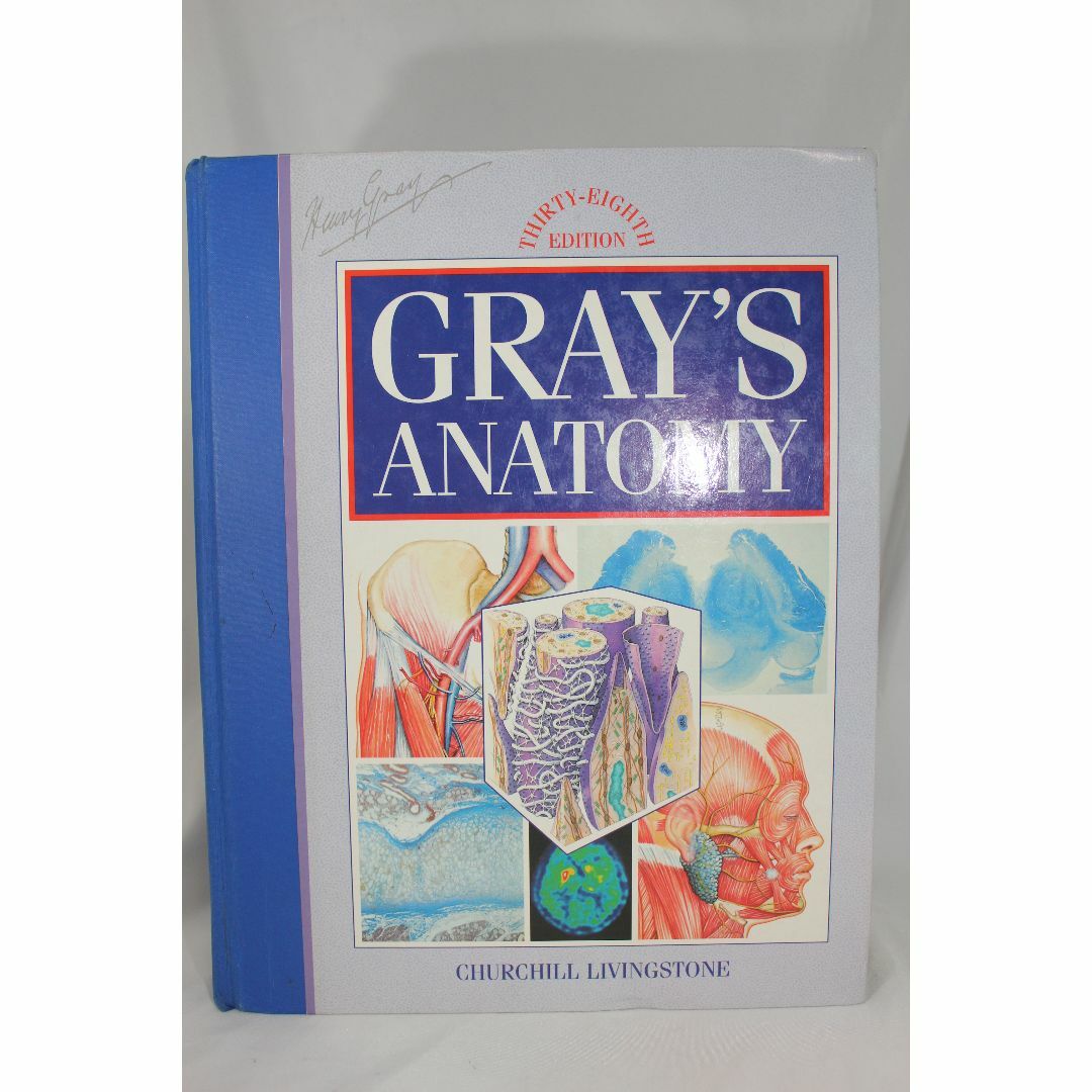 Gray's Anatomy The Anatomical Basis エンタメ/ホビーの本(洋書)の商品写真