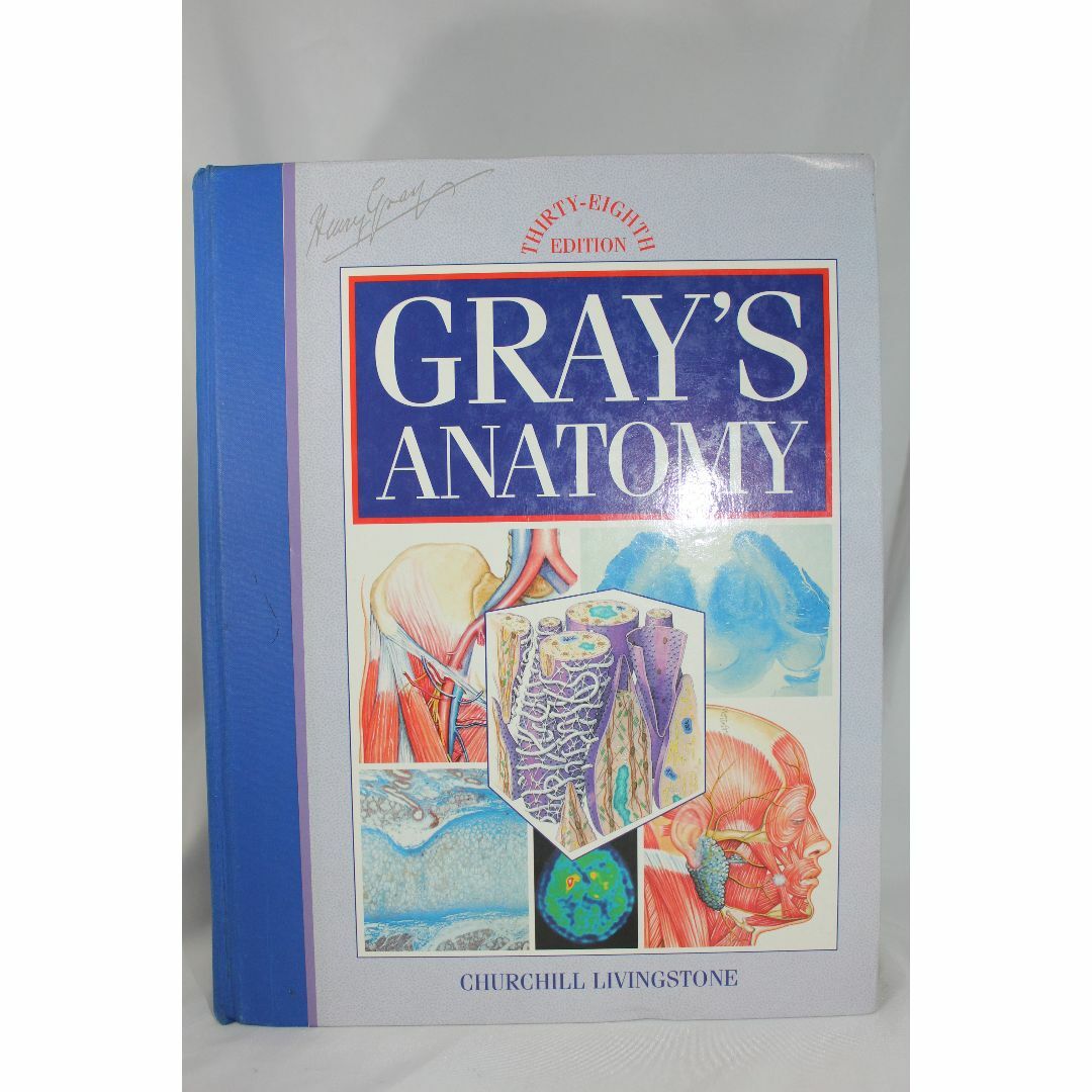 Gray's Anatomy The Anatomical Basis エンタメ/ホビーの本(洋書)の商品写真